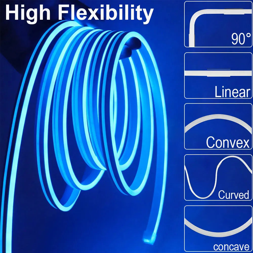 RGB Neon LED Strip Lights USB 5V Strip IP65 Waterproof Control Led Flexible Diode Decoration For Home Living Room Decor Lighting